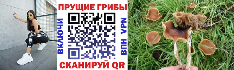 Галлюциногенные грибы Magic Shrooms  Ворсма 